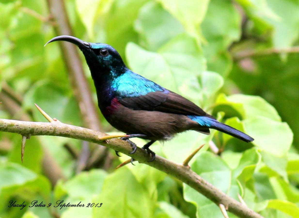 Woodside Homestay Wayanad Batheri Exteriör bild